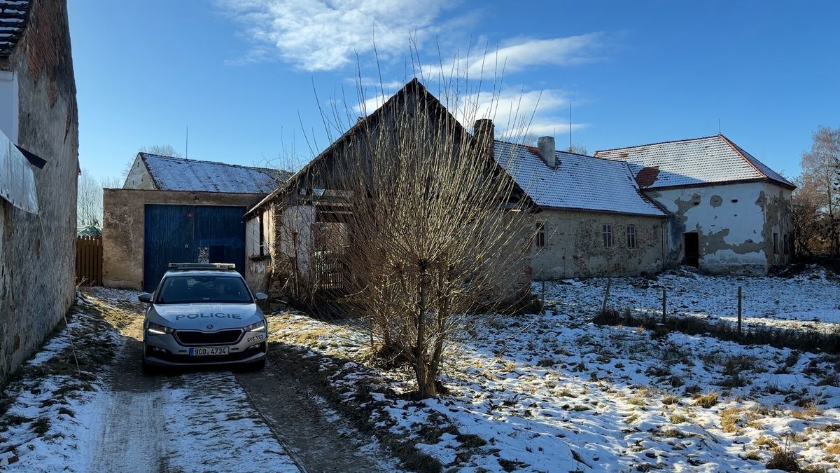Vražda na Strakonicku. Muž ženě usekl hlavu